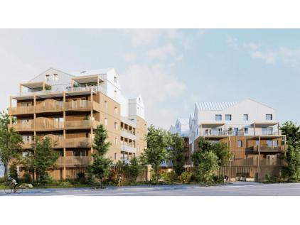 ACCORDS BOISÉS Angers